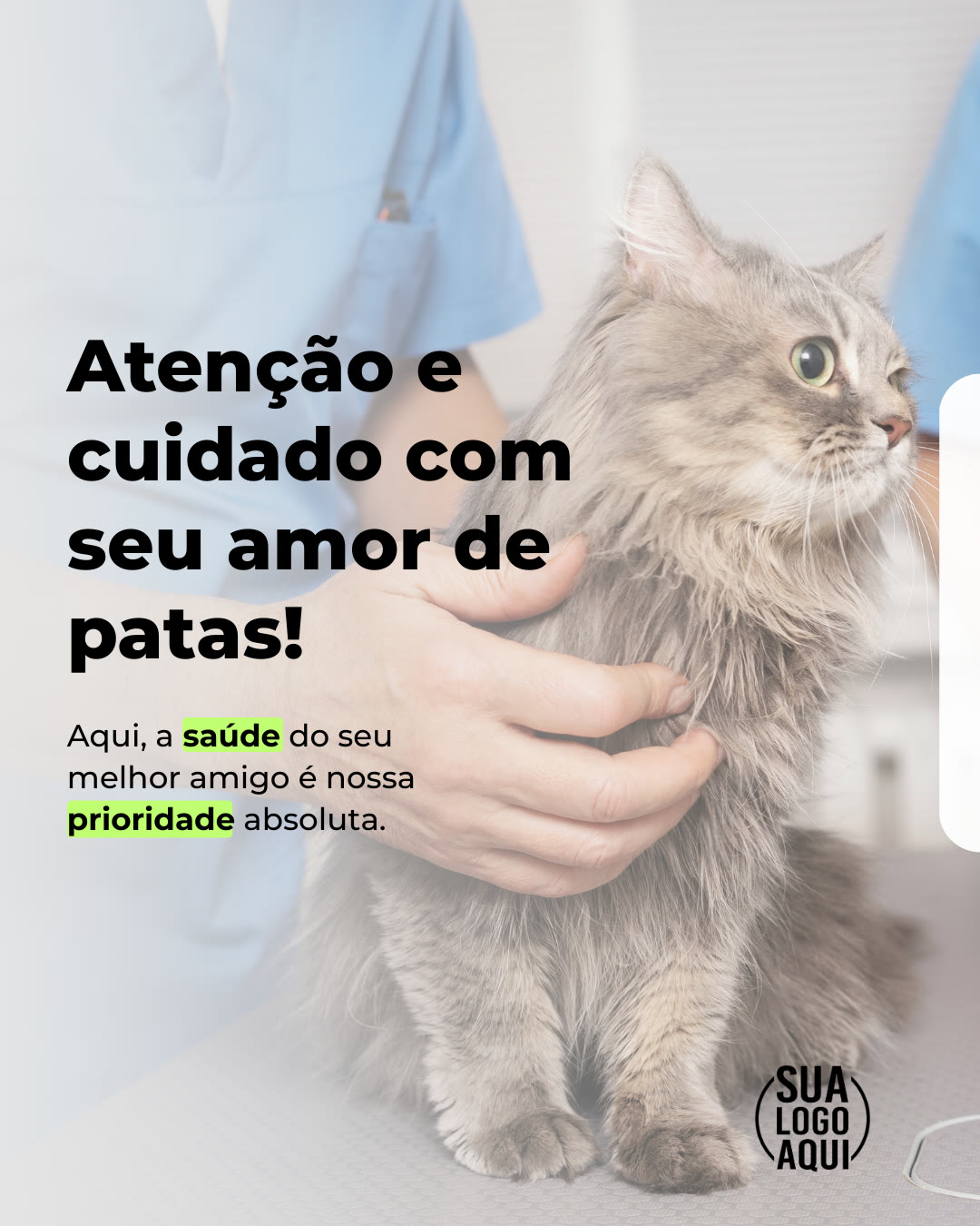 Mitos sobre castração