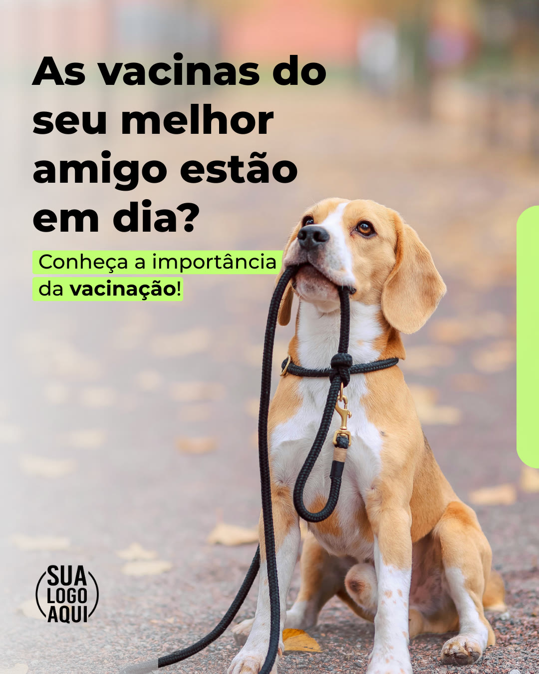 Cuidados com filhote no primeiro mês