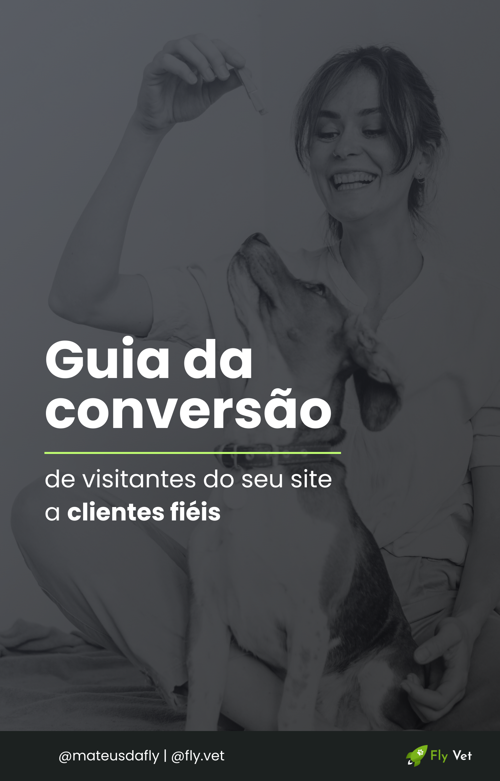 Guia de Conversão