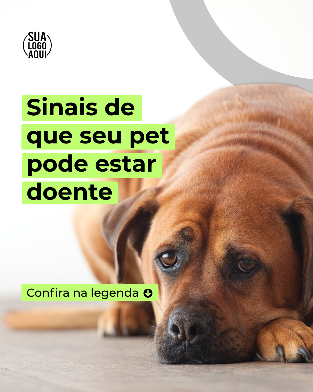 Arte premium 01 — saúde pet