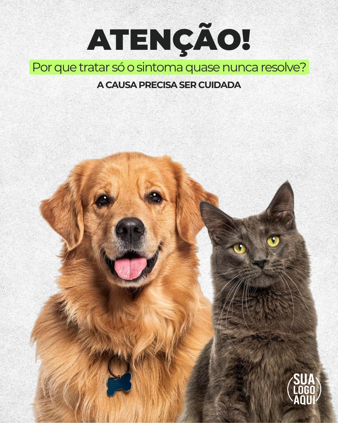 Arte premium — cães idosos