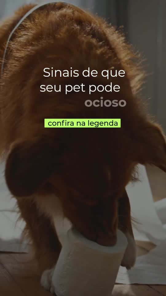 Reel premium — bastidor de clínica