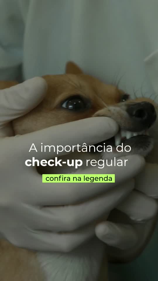 Reel premium — sinais de alerta