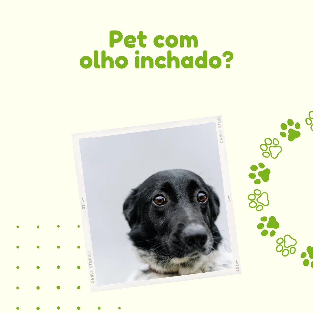 Post: Pet com olho inchado?