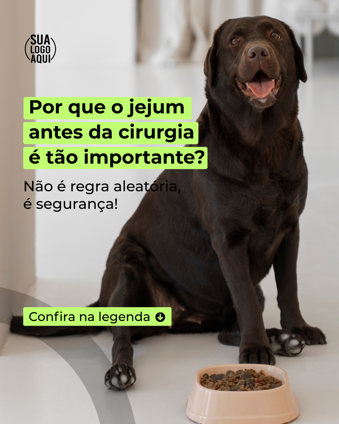 Post Premium — Consulta veterinária