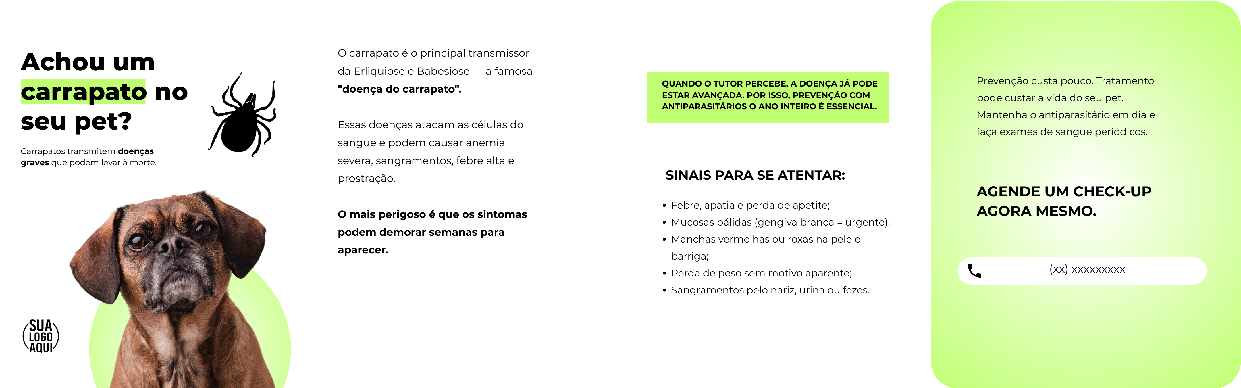 Carrossel Premium — Carrapato no pet