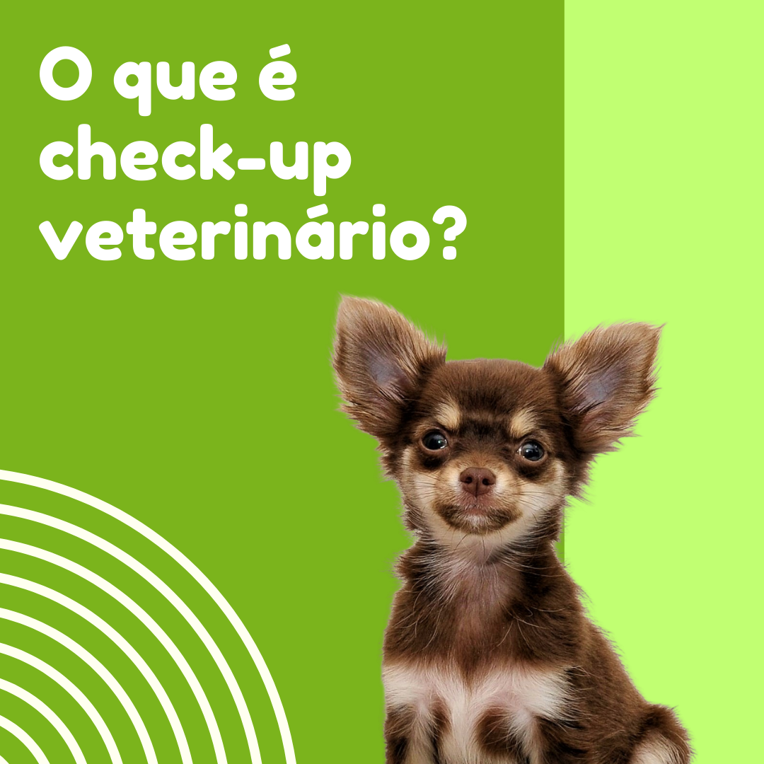 Post veterinário
